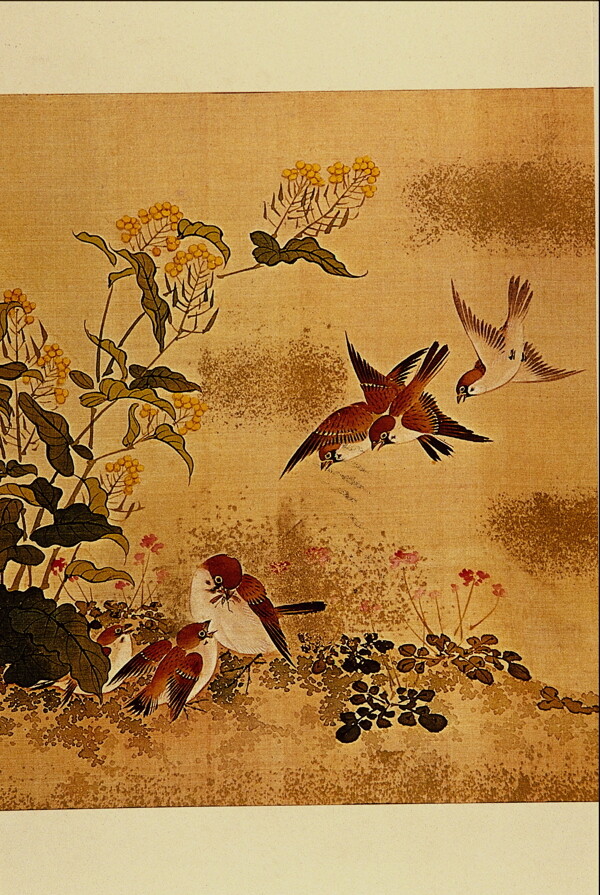 花鸟画中国古画0021
