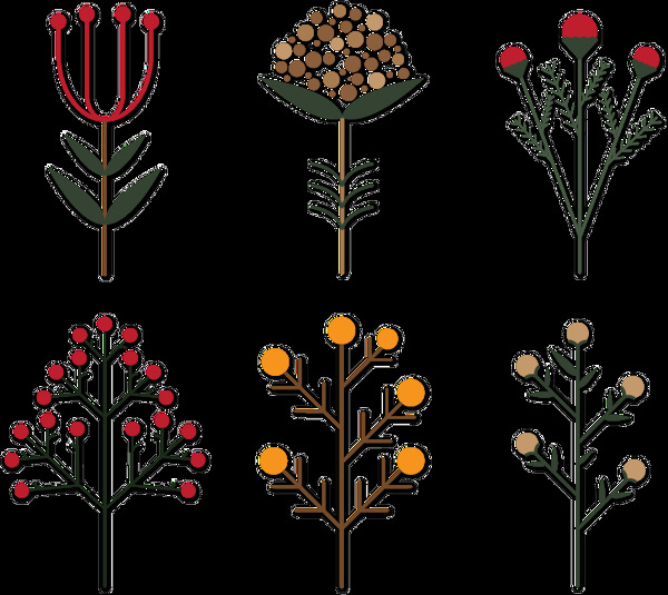 六款植物卡通透明素材