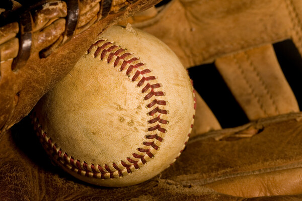 皮夹袋里的棒球图片