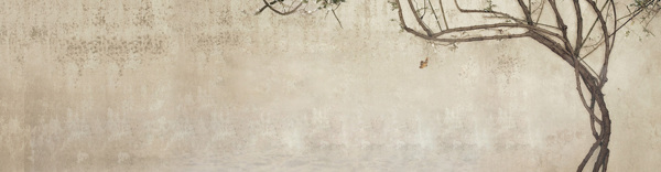 文藝范淘寶服飾背景banner