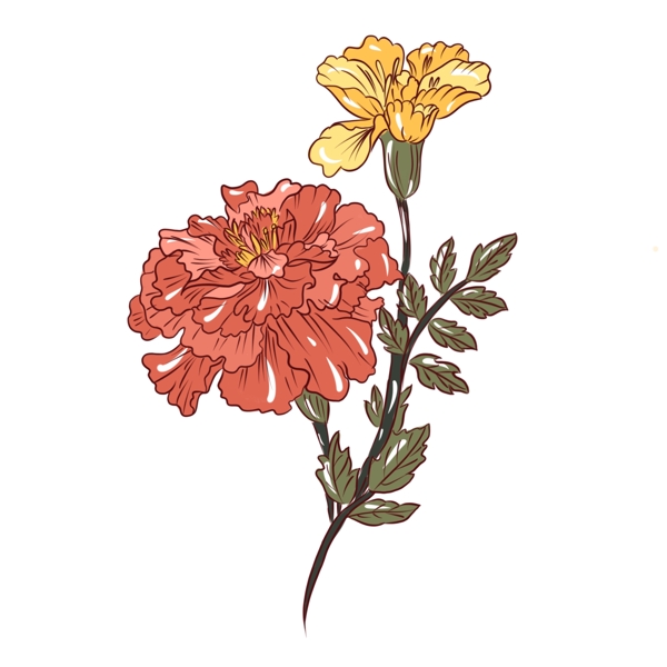 手绘植物手绘花传统花卉可商用
