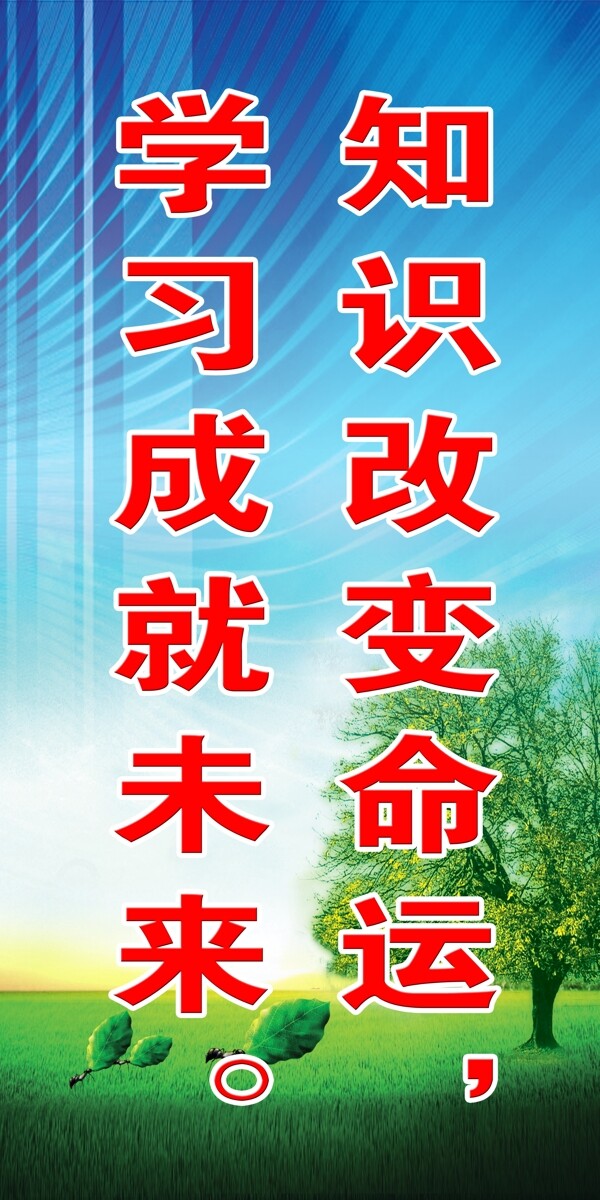 學(xué)校企業(yè)展板圖片