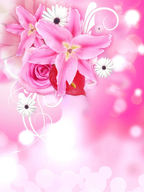 百合花與玫瑰等鮮花背景