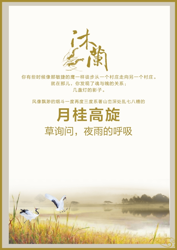 月桂高璇月亮
