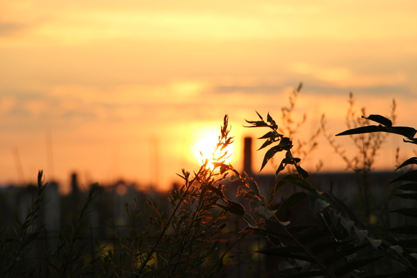 夕陽圖片