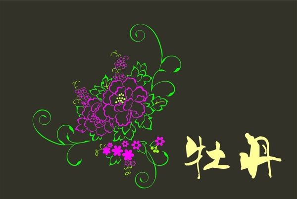 牡丹