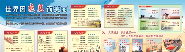 学校感恩文化墙