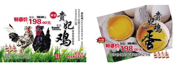 貴妃雞海報(bào)圖