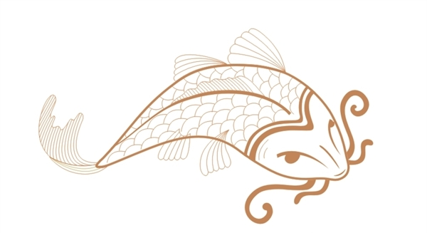 鯉魚