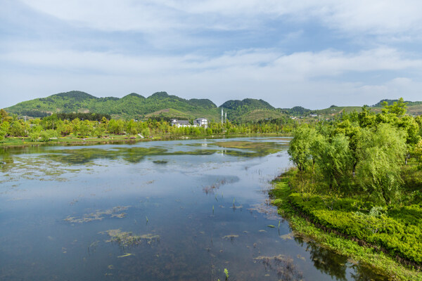 濕地公園