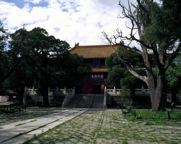 北京皇家园林建筑古木石板路蓝天白云天坛