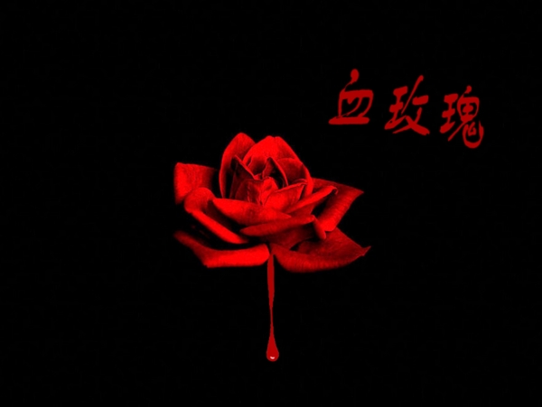 血玫瑰