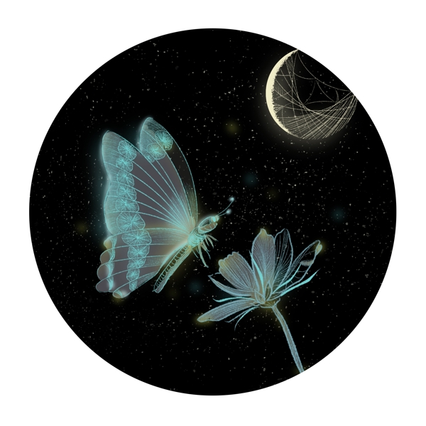独特透明感蝴蝶菊花月亮发光黑底圆形图标