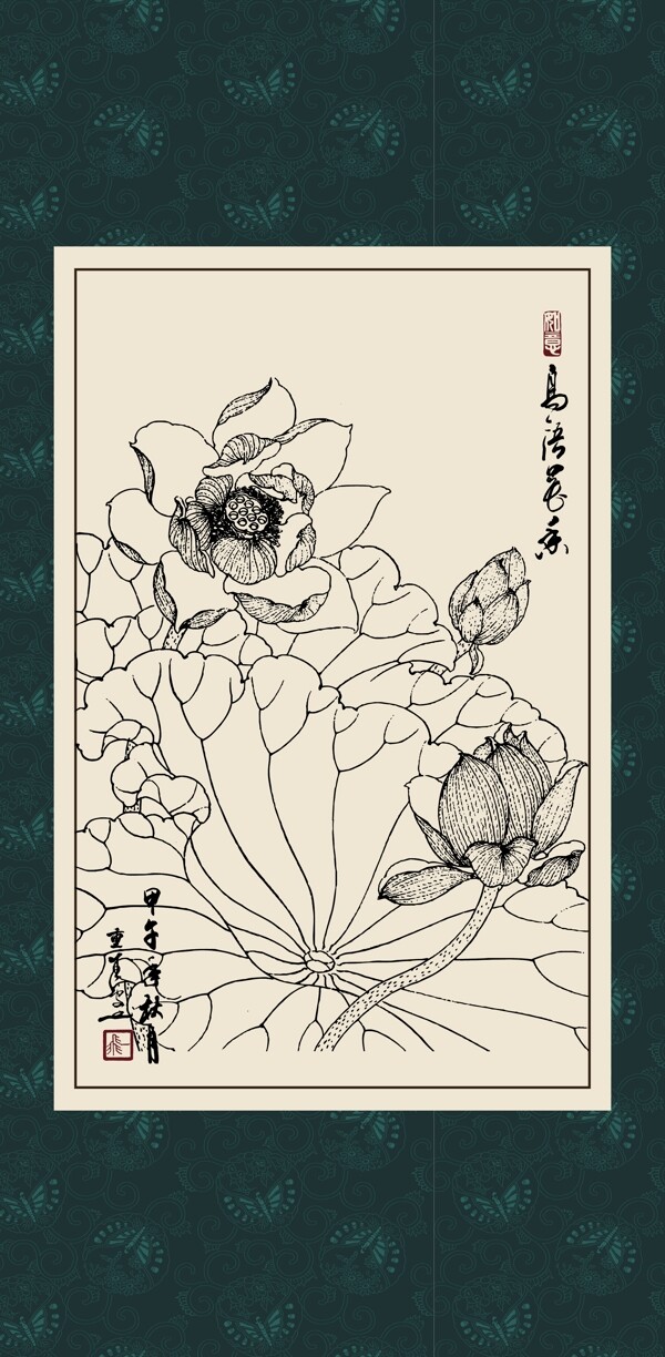 白描荷花圖片