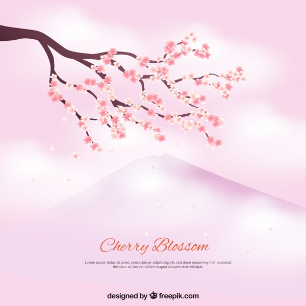 櫻花枝的背景