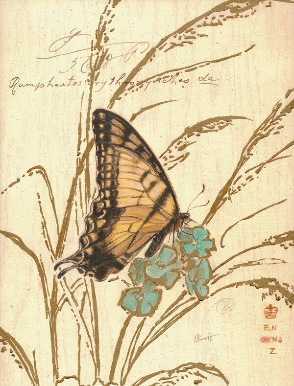 芦苇蝴蝶复古装饰挂画