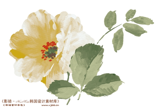 花紋花朵裝飾修飾HanMaker韓國設計素材庫