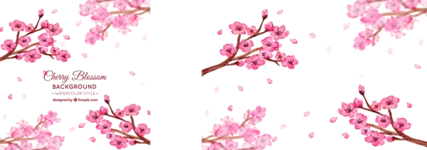 一包水彩畫(huà)櫻花