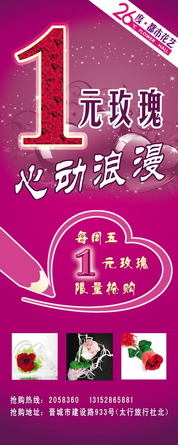 1元玫瑰圖片