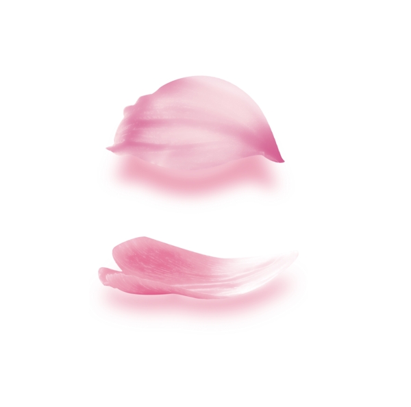 花瓣