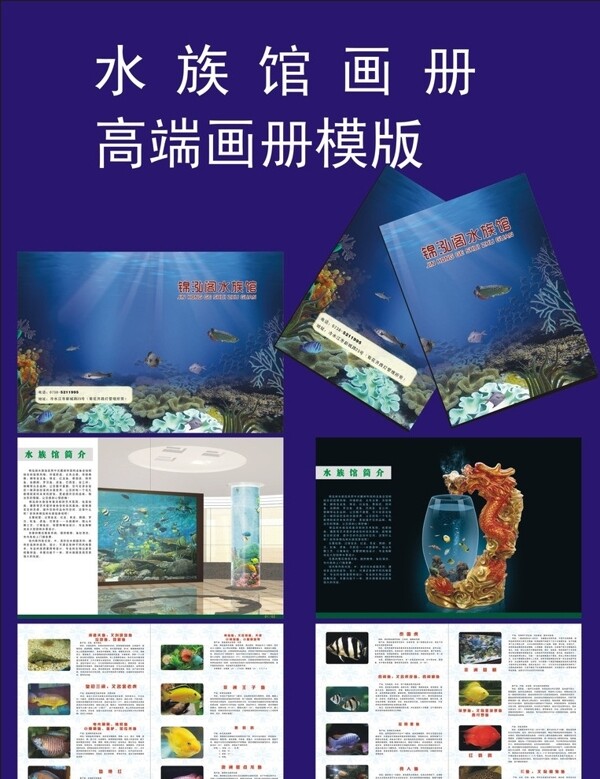 水族館圖片