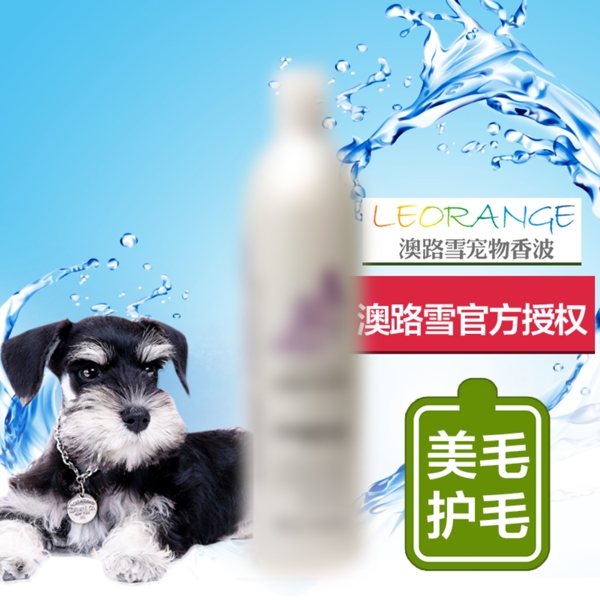 寵物沐浴主圖