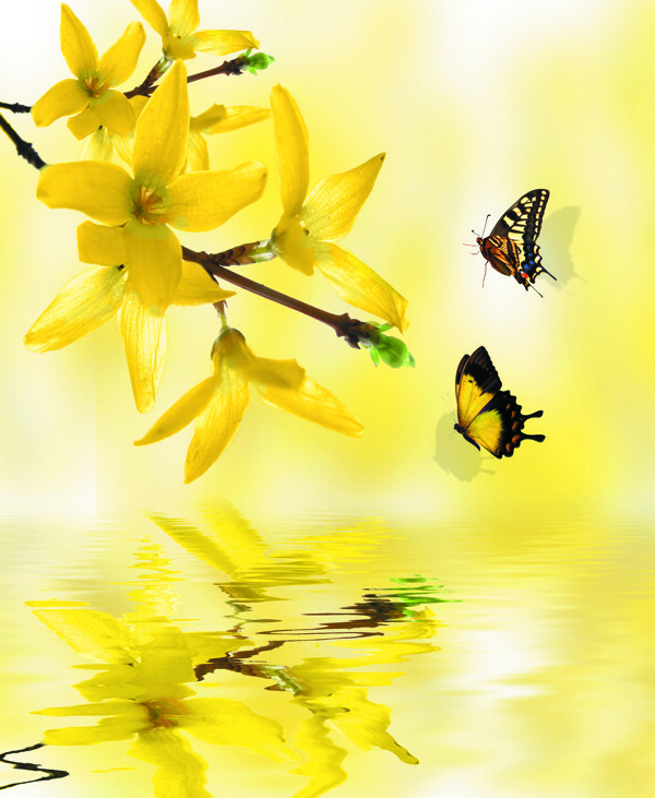 维多利亚移门大全矢量花朵黄色蝴蝶