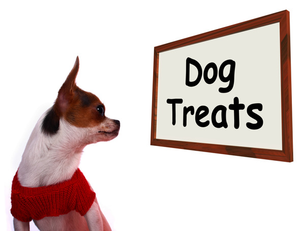 狗对待犬奖励或小吃的标志