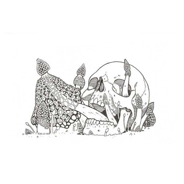 位圖插畫時尚插畫人物插畫插畫師免費(fèi)素材