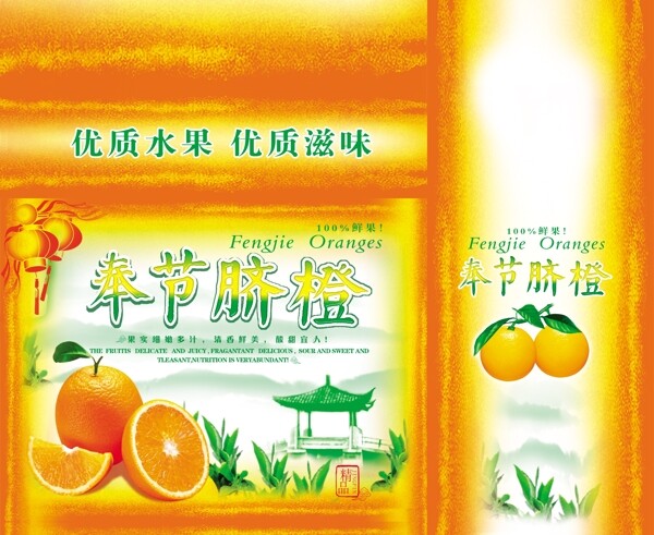 食品包裝包裝模板PSD0005
