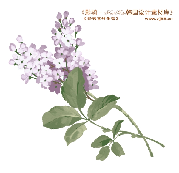 花紋花朵裝飾修飾HanMaker韓國設計素材庫