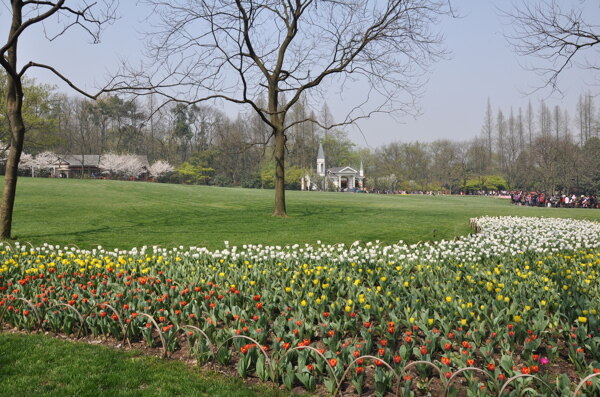太子灣公園