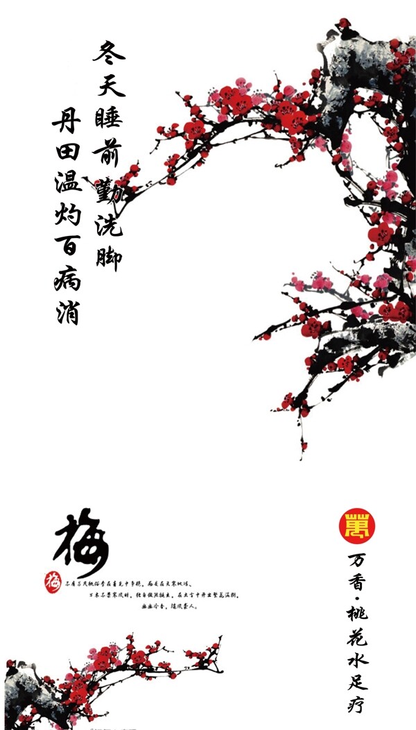 冬梅圖片