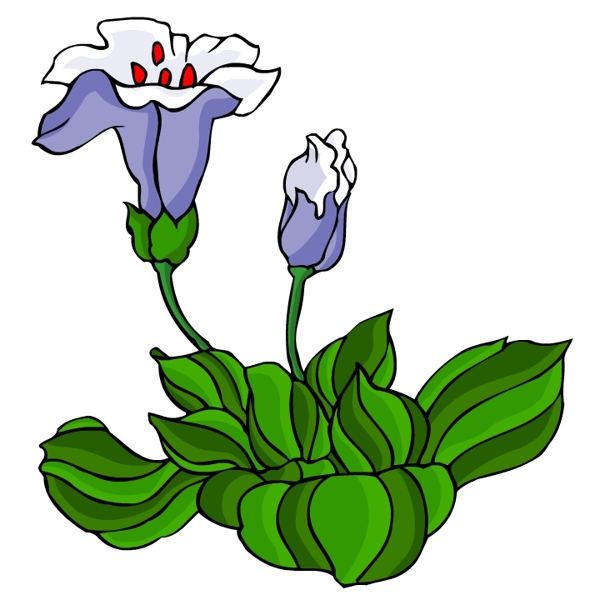 花卉古典插畫