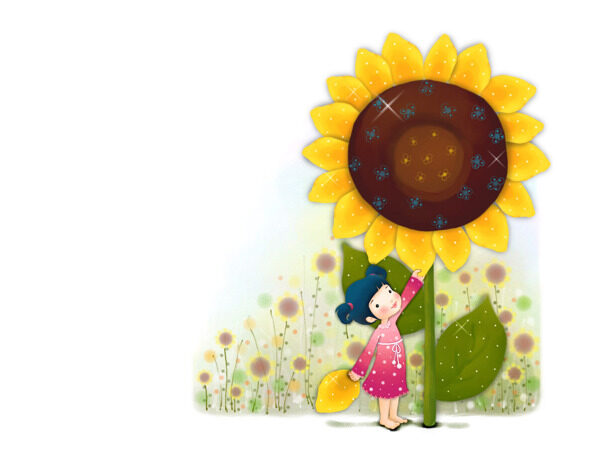 太陽花圖片
