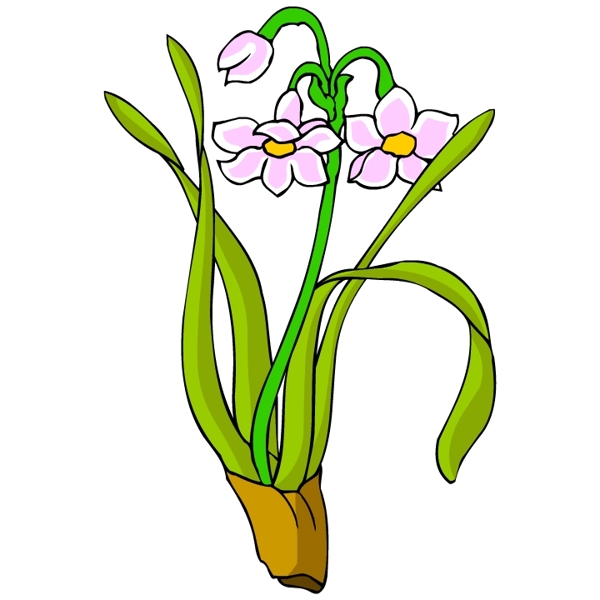 花卉古典插畫