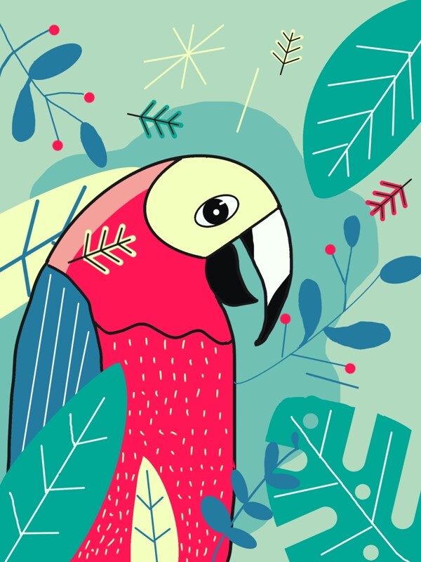 原创插画自然印象之鹦鹉