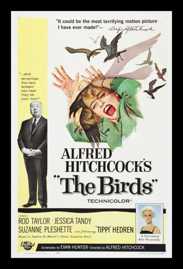 位图欧美怀旧老电影海报THEBIRDS免费素材