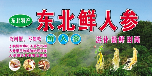 東北鮮人參
