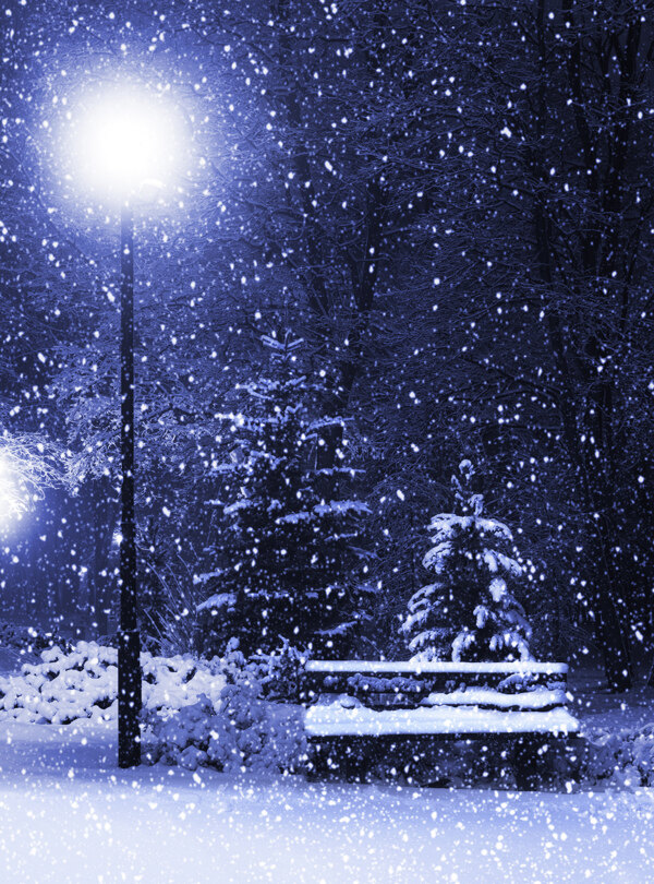 冬季雪夜图片