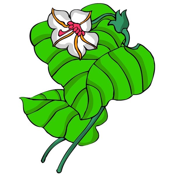 花卉古典插畫