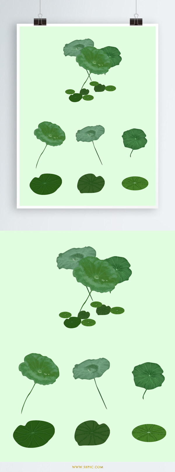 原創(chuàng)端午設(shè)計元素植物荷葉
