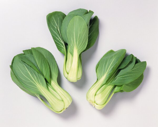 食物圖片