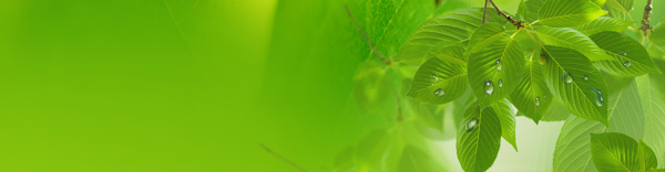 淘寶背景banner