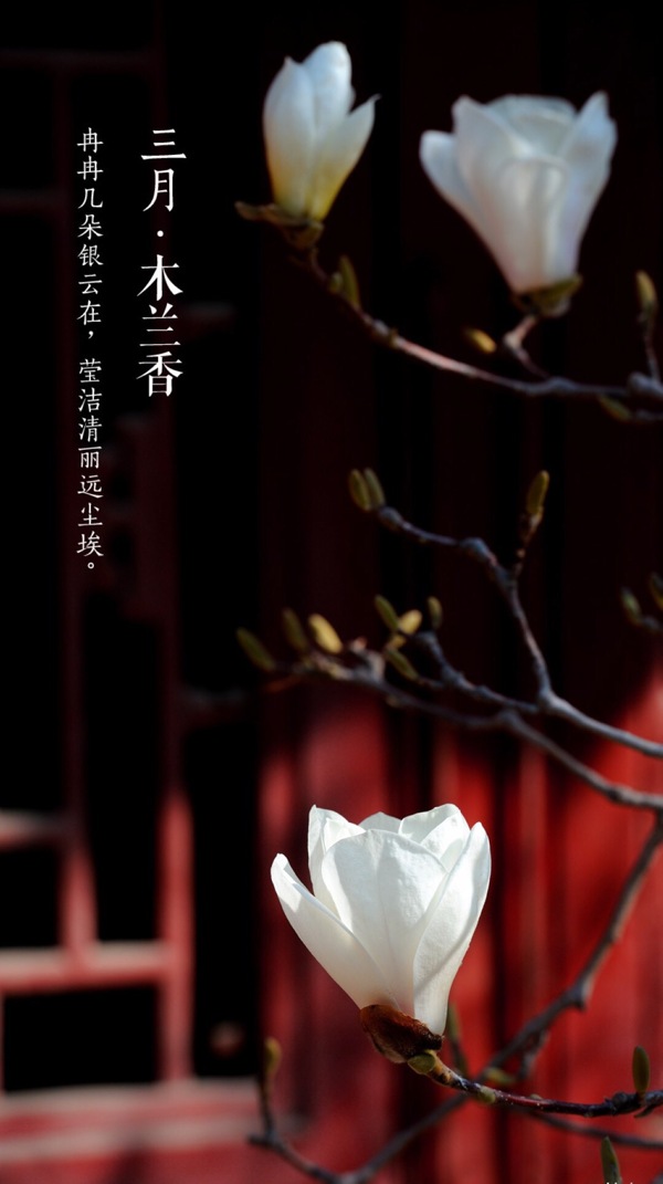 三月