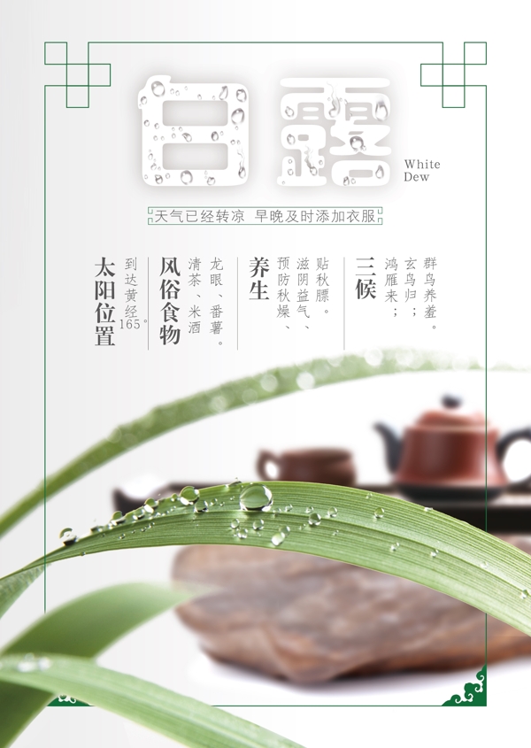 白露節(jié)日海報(bào)