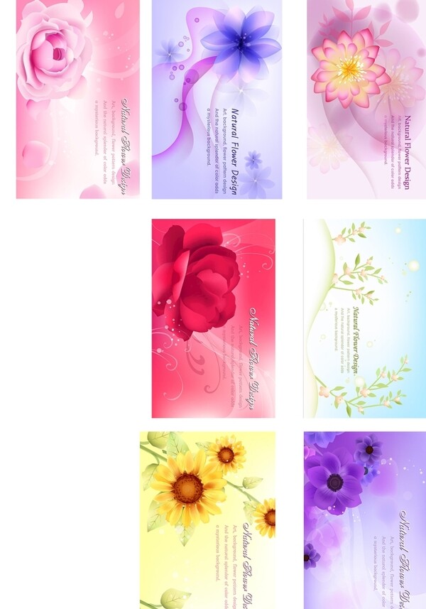 唯美花卉卡片背景