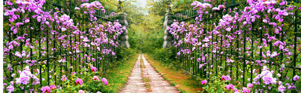 花的道路