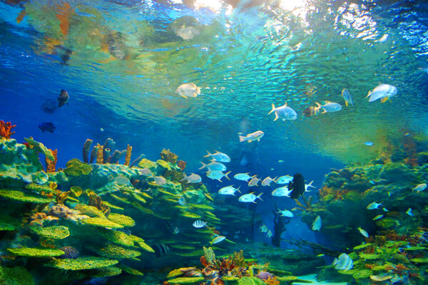 海底世界