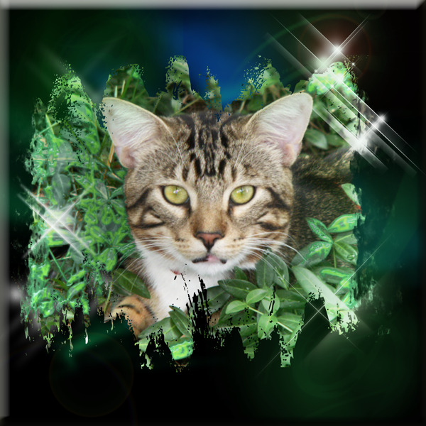 Bootsie渲染